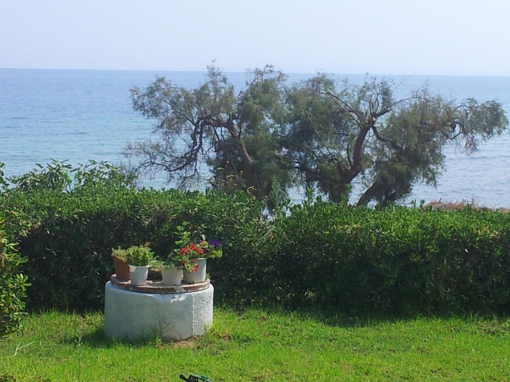 Beach Bungalows Kypseli Chambre photo