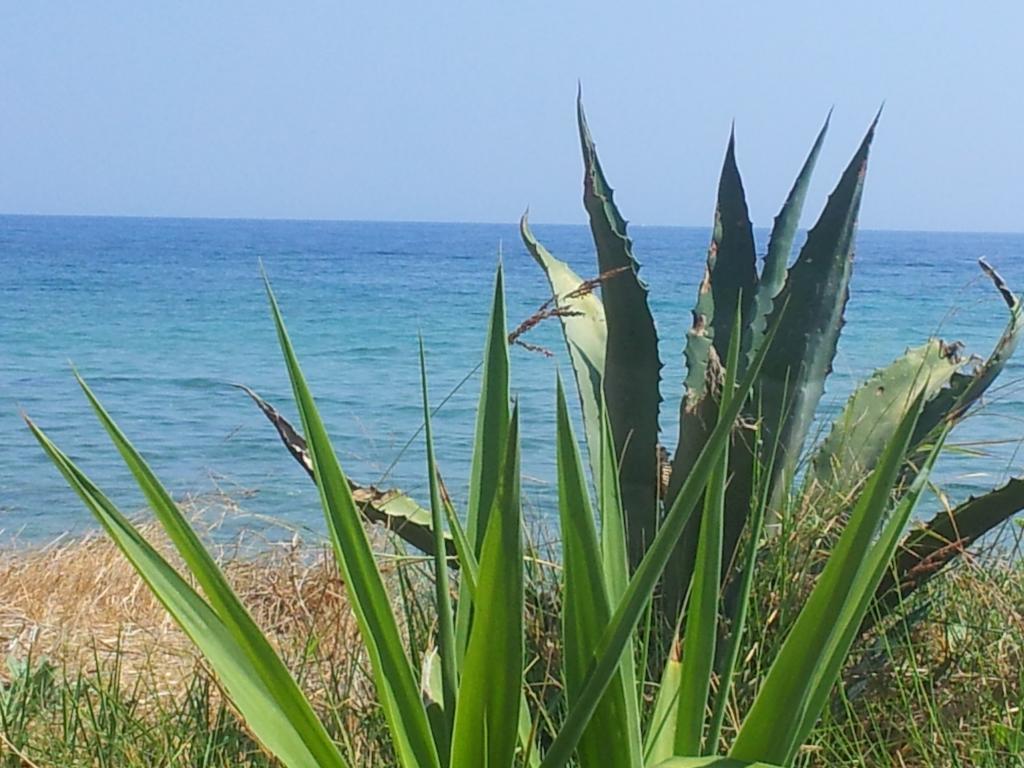 Beach Bungalows Kypseli Chambre photo